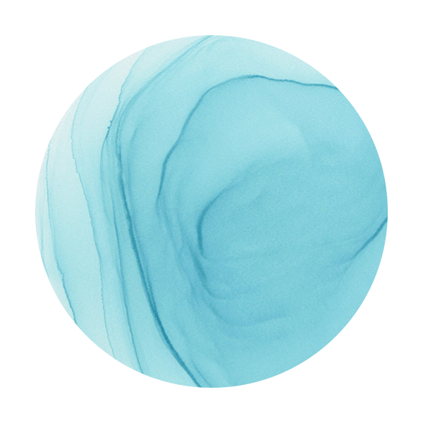 Copic Ink BG53