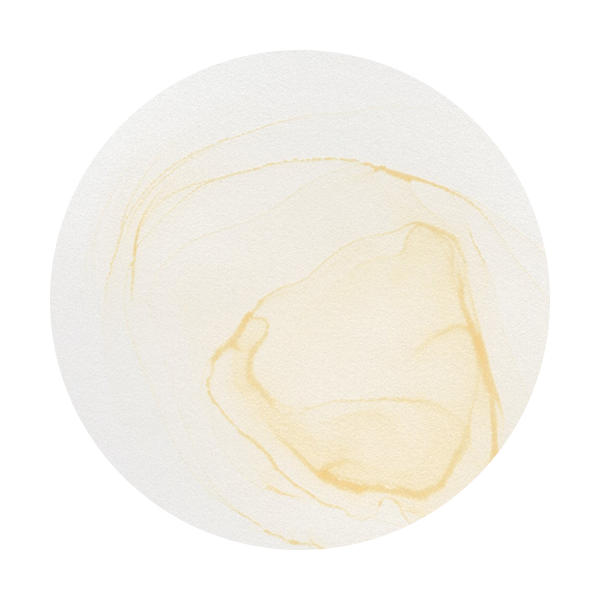 Copic Ink E0000