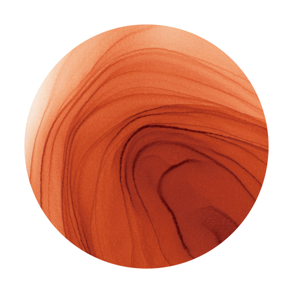 Copic Ink E08