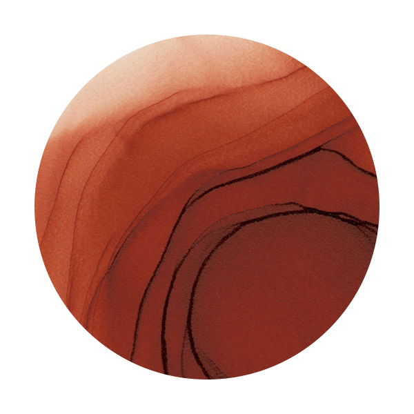 Copic Ink E09