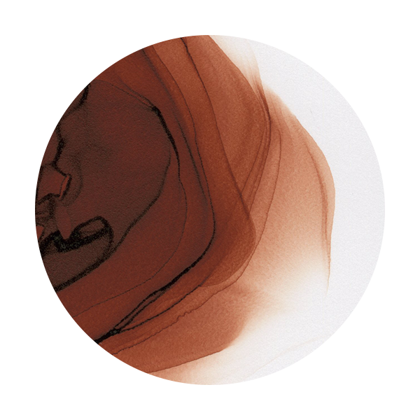 Copic Ink E18