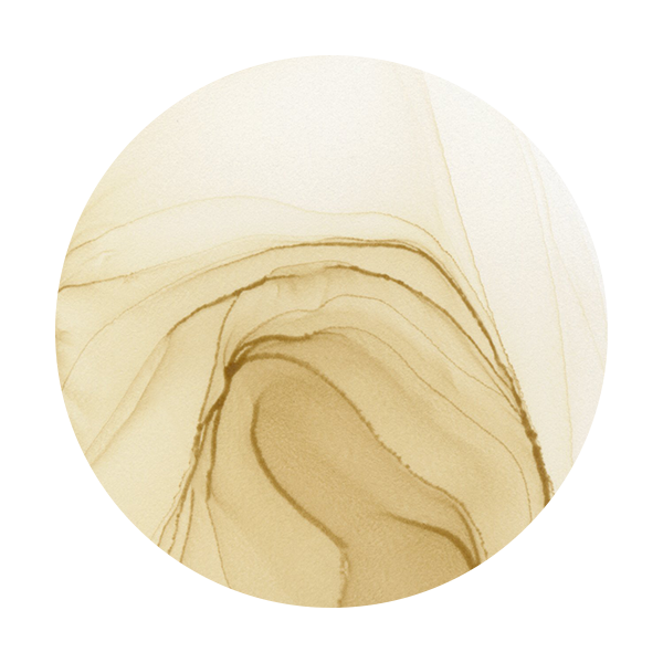 Copic Ink E42