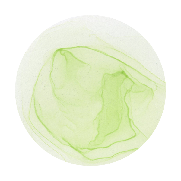 Copic Ink G40