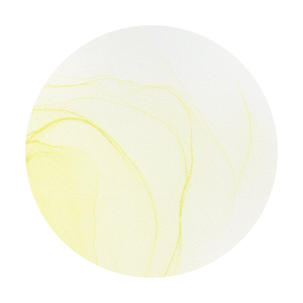 Copic Ink YG0000
