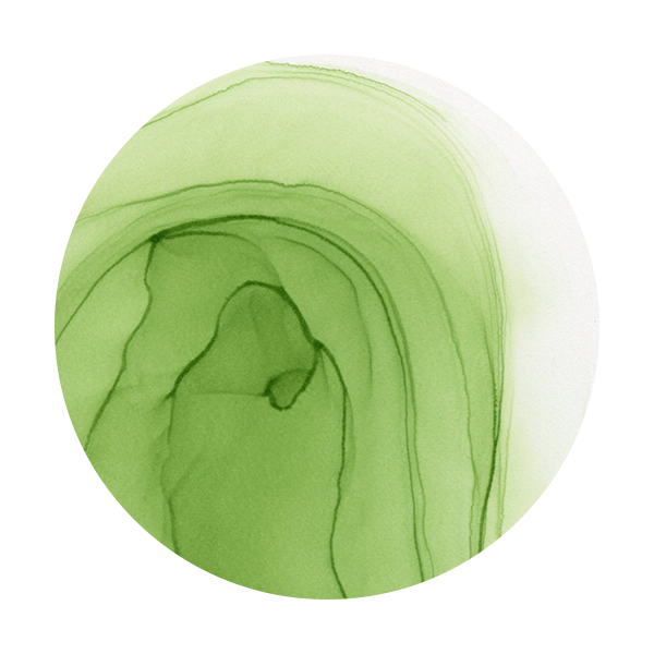 Copic Ink G24