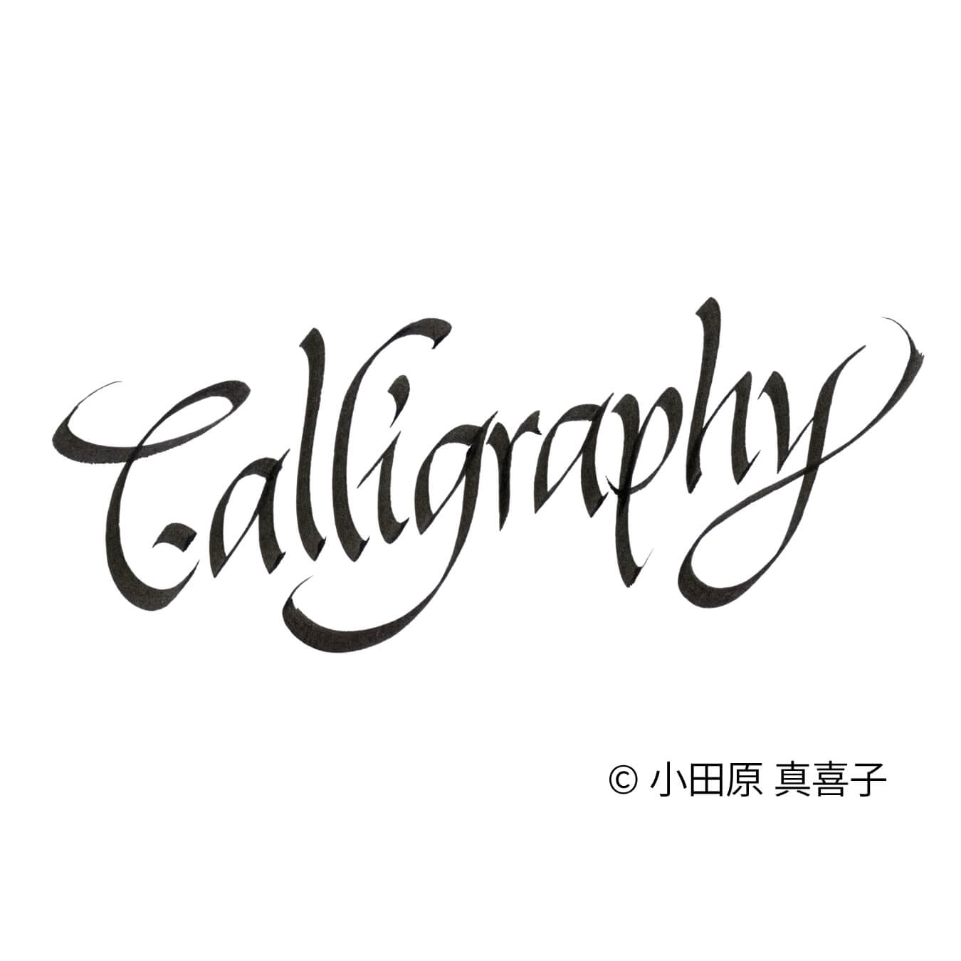Copic Multiner Calligraphy